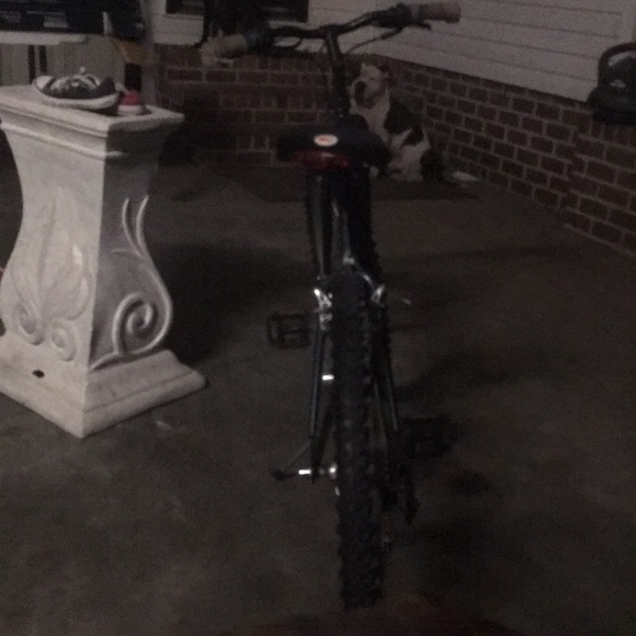 Bikes - Picture 2 of 4